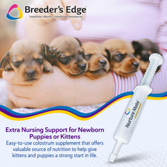 Revival Animal Health Nurture Mate puppy-nursing-scene supports energy during nursing