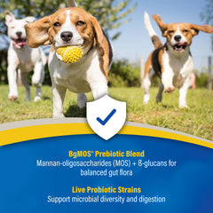 Serving scene of dogs and cats with Doc Roy’s Synbiotics for meals