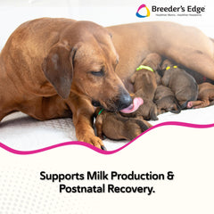 Breeder’s Edge Oral Cal Plus Powder measuring scoop for precise dosing in lactation.