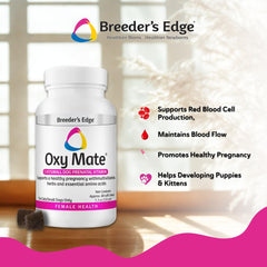Label detail highlights iron, folic acid, zinc for healthy gestation support.