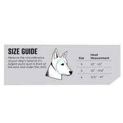 Rex Specs Ear Pro worn by a dog demonstrates calm comfort during loud events.