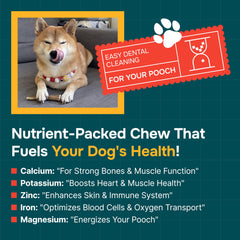 REXIPETS elk antlers medium-dog-chew closeup reveals durable texture for moderate chewers.