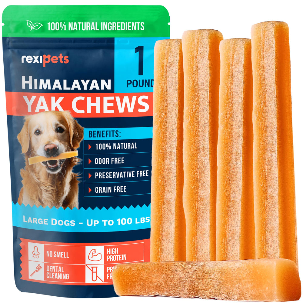 REXIPETS Himalayan yak chew for large dogs supports dental care with long-lasting durability.