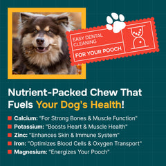 REXIPETS elk-antler closeup showing natural texture and nutrient-rich chew for dogs.