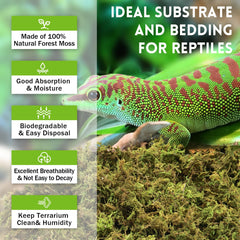 Riare sphagnum moss moisture absorption—expands when wet to maintain humidity.