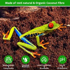 Riare coconut-substrate demonstrates odor-control in a clean terrarium.
