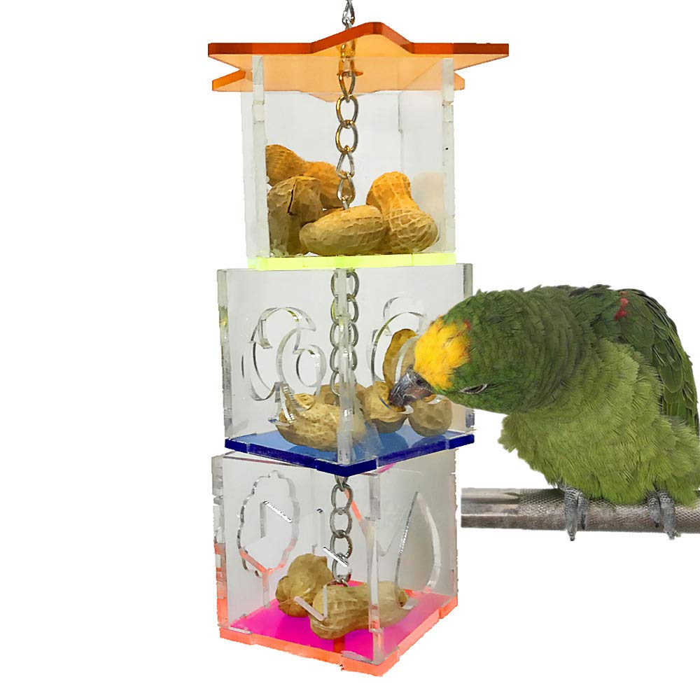 RICEFINE bird foraging toy box with transparent view to spark curiosity during play