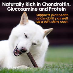 Riley's collagen stick dog chew in use as a bully-stick alternative.