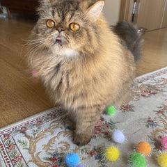 RIMOBUL soft plush ball toy encourages gentle batting and solo play.