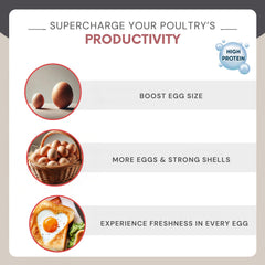 Rinlex dried mealworms label highlights high-protein bird snack