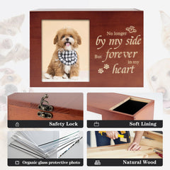 RINVEE pet urn safety lock feature secures contents