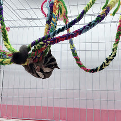 RIOUSSI coral fleece jungle rope adds vibrant colors for cage enrichment.