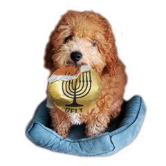 Rite Lite Hanukkah gelt coin dog toy in festive design for playful dogs during holidays