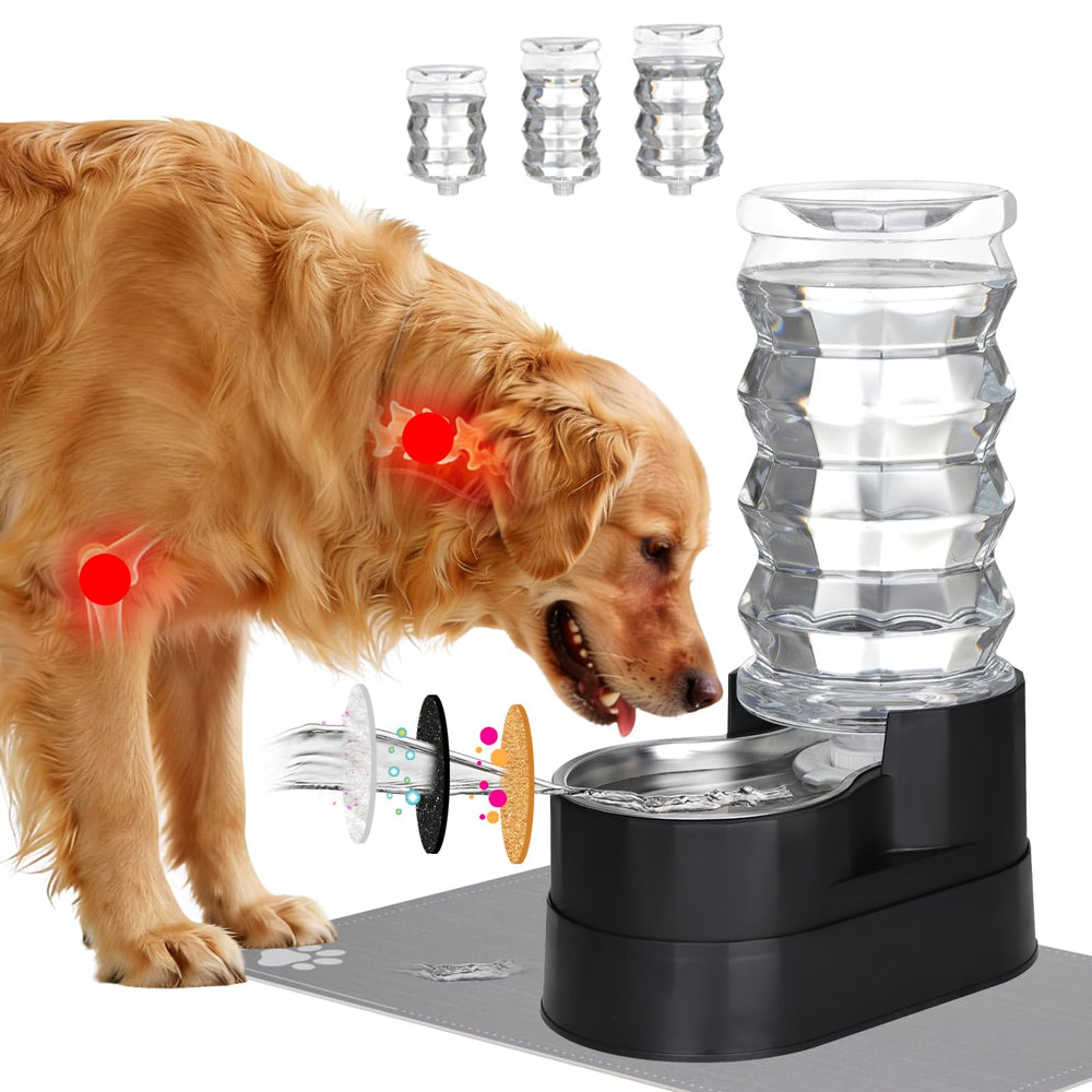 RIZZARI 8L water dispenser for large dogs, ensuring steady hydration at home.