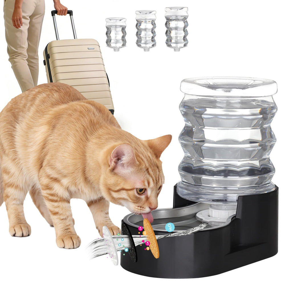 RIZZARI dog water bowl dispenser 5L gravity black for steady hydration in small pets