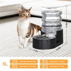 RIZZARI stainless steel bowl 304 detail emphasizing rust-resistant durable drinking surface
