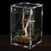 RJDJOVJJ jumping spider enclosure front view for compact observation and easy access