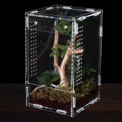RJDJOVJJ jumping spider enclosure front view for compact observation and easy access