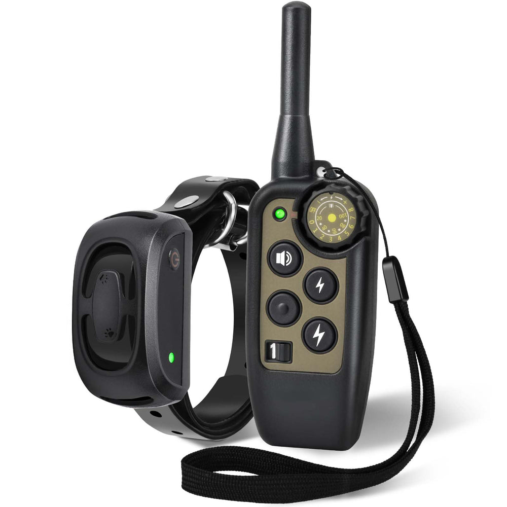 RNEMP shock collar remote control shown for long-range training