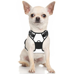 Rnivvi No Pull Harness back view highlights padded chest for comfortable wear.