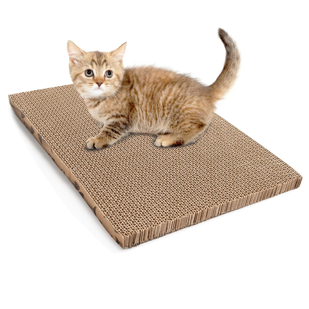 Roadtofree cat scratching board front view showing compact indoor size and furniture protection
