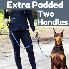 Roam Gear dual-handles close-up on the 6-foot leash for comfortable grip.