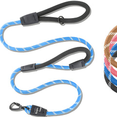 Roam Gear 6-foot dog leash in walking setup, dual handles for better control.