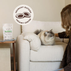 Rocco & Roxie Hairball Treat chicken flavor bite demonstrates feline flavor appeal