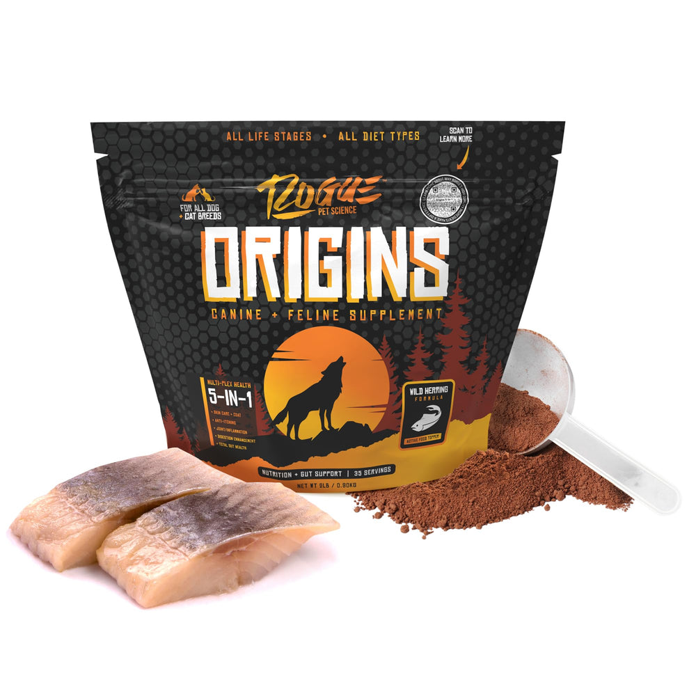 Rogue Pet Science Origins 5-in-1 powder topper poured into dog food for digestion support and healthy coat