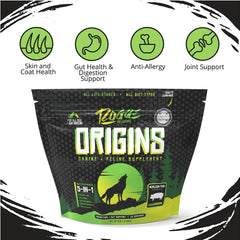 Dog enjoys a meal with Origins topper, suggesting improved digestion support from Rogue Pet Science.