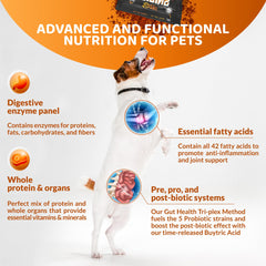 Omega-3 fish oil jar from Origins enhances coat health.