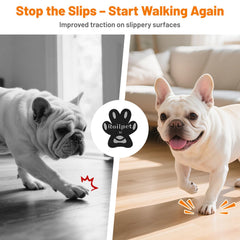 Roilpet paw protector adhesive applied to paw shows secure adhesion.