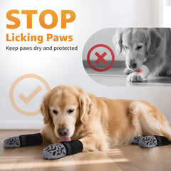 Roilpet senior-dog-friendly paw socks support mobility and reduce paw licking behavior.