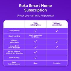 Roku Indoor Camera live feed TV view enables quick checks on the screen