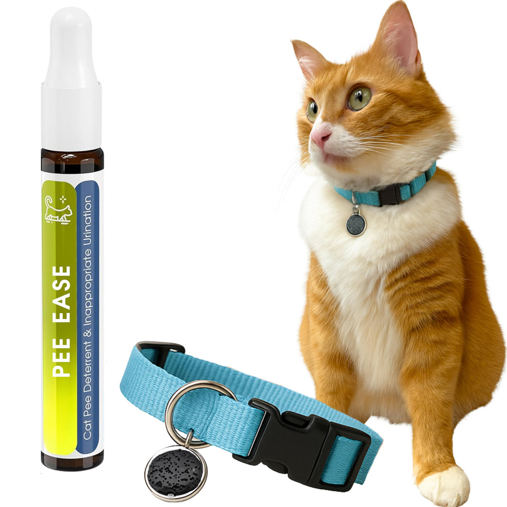 Rollerpawster cat deterrent collar worn by a calm cat for behavioral support