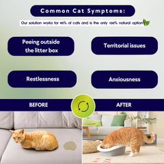 Rollerpawster soft collar materials highlighting gentle wear for cats