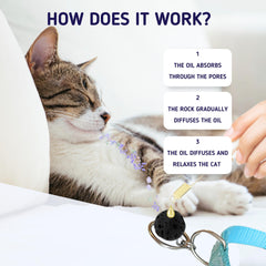 Rollerpawster vet-approved logo image conveying trust and safety