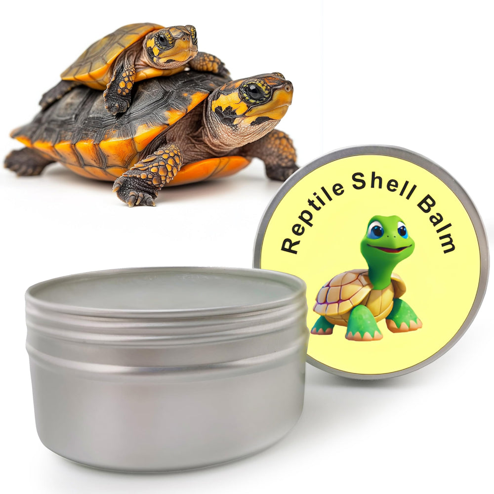 RONDURE Reptile Shell Balm jar closeup showing shell hydration and soothing care