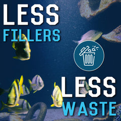 RON'S CICHLIDS coloration boost with carotenoids