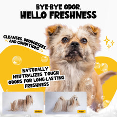 ROOFUS THE DOG Coconut Kisses shampoo lather demonstrates easy, thorough cleansing and detangling