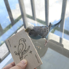 ROOJUNE bird toys clip usage demonstrates cage enrichment setup.