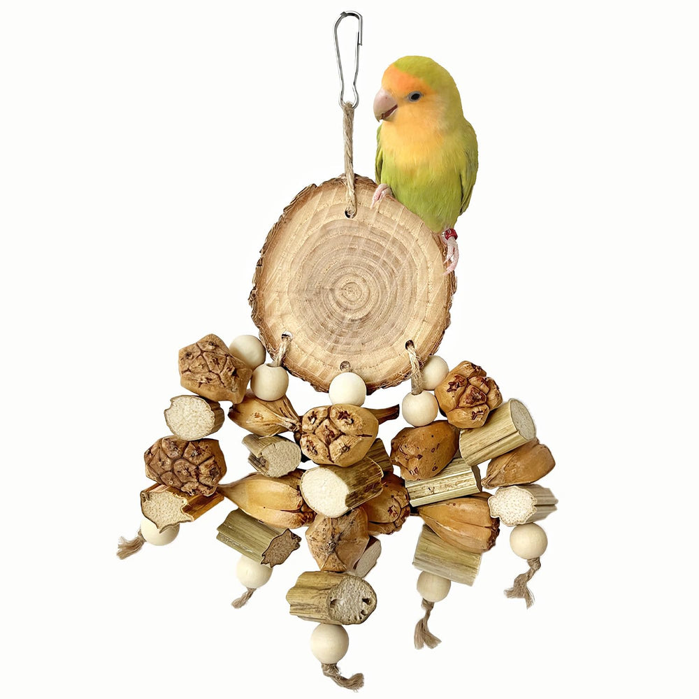 ROOJUNE chew-perch with apple-branch focus for safe, satisfying chewing.