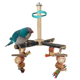 Percha giratoria 360° de ROOJUNE para aves pequeñas, mejora la exploración y el agarre.