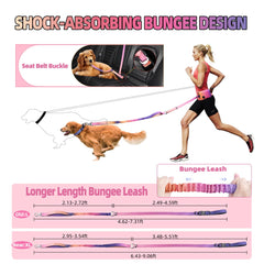 Roses&Poetry Anti-shock bungee leash absorbs pulls for smoother training sessions.