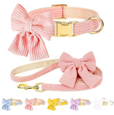 RoseYouth bowtie collar on soft mesh for comfortable daily walks