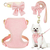 RoseYouth dog collar and leash set in pink with bowtie for stylish daily walks.