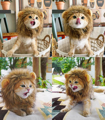 RosyLife Lion Mane Wig on cat costume, vivid mane for events.
