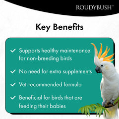 Roudybush Daily Maintenance bird-eating scene demonstrates simple daily feeding