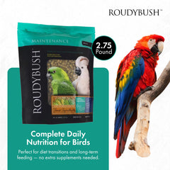 RoudyBush daily maintenance bird food kibble close-up highlights uniform pellets.