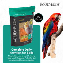RoudyBush Daily Maintenance Crumbles serving bowl demonstrates convenient portions.